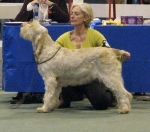 Filename=F-RoccaChe.JPG
Filesize=75KiB
Dimensions=600x531
Date added=Sep 14, 2011 F-RoccaChe.JPG