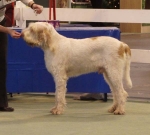 Filename=G-Hercules.JPG
Filesize=58KiB
Dimensions=600x540
Date added=Sep 14, 2011 G-Hercules.JPG