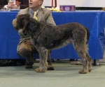 Filename=H-BetteDavisEyes.JPG
Filesize=71KiB
Dimensions=600x501
Date added=Sep 14, 2011 H-BetteDavisEyes.JPG