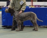 R-Brunella.JPG