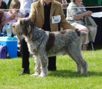 Filename=C-TedBaker.JPG
Filesize=344KiB
Dimensions=600x525
Date added=Aug 18, 2010 C-TedBaker.JPG