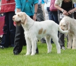 Filename=H-LouisDousset.JPG
Filesize=305KiB
Dimensions=600x520
Date added=Aug 18, 2010 H-LouisDousset.JPG