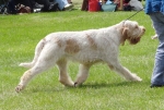 Filename=I-Morra.JPG
Filesize=286KiB
Dimensions=600x404
Date added=Aug 18, 2010 I-Morra.JPG