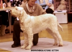 Filename=B-AtomicKitten.jpg
Filesize=103KiB
Dimensions=750x541
Date added=Sep 14, 2011 B-AtomicKitten.jpg