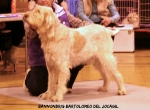 Filename=B-Bartolomeo.jpg
Filesize=105KiB
Dimensions=750x553
Date added=Sep 14, 2011 B-Bartolomeo.jpg
