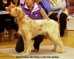 Filename=B-BrotherlyLove.jpg
Filesize=119KiB
Dimensions=750x599
Date added=Sep 14, 2011 B-BrotherlyLove.jpg