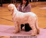 Filename=D-AmazingGrace.jpg
Filesize=114KiB
Dimensions=750x616
Date added=Sep 14, 2011 D-AmazingGrace.jpg