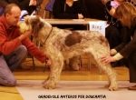 Filename=G-Anteros.jpg
Filesize=109KiB
Dimensions=750x554
Date added=Sep 14, 2011 G-Anteros.jpg