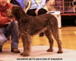 Filename=H-BetteDavisEyes.jpg
Filesize=114KiB
Dimensions=750x600
Date added=Sep 14, 2011 H-BetteDavisEyes.jpg
