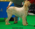 Filename=C-Claricia.jpg
Filesize=99KiB
Dimensions=750x623
Date added=Sep 14, 2011 C-Claricia.jpg