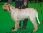 Filename=M-HesAPeach.jpg
Filesize=88KiB
Dimensions=750x577
Date added=Sep 14, 2011 M-HesAPeach.jpg