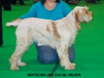 Filename=M-JustEva.jpg
Filesize=89KiB
Dimensions=750x569
Date added=Sep 14, 2011 M-JustEva.jpg