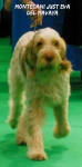 Filename=M-JustEva2.jpg
Filesize=66KiB
Dimensions=358x719
Date added=Sep 14, 2011 M-JustEva2.jpg