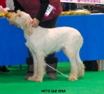 Filename=N-QueSera.jpg
Filesize=106KiB
Dimensions=750x677
Date added=Sep 14, 2011 N-QueSera.jpg