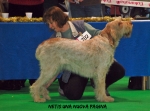 Filename=N-UnaNuovaPagina.jpg
Filesize=103KiB
Dimensions=750x558
Date added=Sep 14, 2011 N-UnaNuovaPagina.jpg
