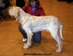 B-BillyElliot.jpg