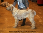 Filename=T-MaudEarl.jpg
Filesize=116KiB
Dimensions=750x581
Date added=Sep 14, 2011 T-MaudEarl.jpg