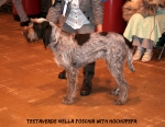 T-NellaFoschia.jpg