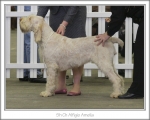 Filename=A-Amelia.jpg
Filesize=124KiB
Dimensions=868x698
Date added=Jan 31, 2010 A-Amelia.jpg