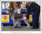 Filename=A-ShowMeTheMoney.jpg
Filesize=123KiB
Dimensions=868x698
Date added=Jan 31, 2010 A-ShowMeTheMoney.jpg
