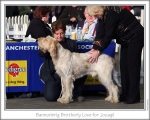 Filename=B-BrotherlyLove.jpg
Filesize=128KiB
Dimensions=868x698
Date added=Jan 31, 2010 B-BrotherlyLove.jpg