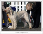 Filename=C-GingerSnap.jpg
Filesize=115KiB
Dimensions=868x698
Date added=Jan 31, 2010 C-GingerSnap.jpg