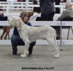 Filename=B-BillyElliot.jpg
Filesize=82KiB
Dimensions=600x582
Date added=Sep 14, 2011 B-BillyElliot.jpg