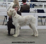 Filename=B-BruceAlmighty.jpg
Filesize=78KiB
Dimensions=600x574
Date added=Sep 14, 2011 B-BruceAlmighty.jpg