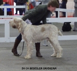 Filename=B-Daydream.jpg
Filesize=77KiB
Dimensions=600x558
Date added=Sep 14, 2011 B-Daydream.jpg