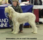 Filename=B-LoveInAMist.jpg
Filesize=87KiB
Dimensions=600x549
Date added=Sep 14, 2011 B-LoveInAMist.jpg