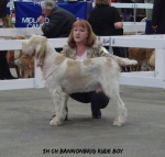 Filename=B-RudeBoy.jpg
Filesize=77KiB
Dimensions=600x573
Date added=Sep 14, 2011 B-RudeBoy.jpg