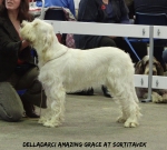 Filename=D-AmazingGrace.jpg
Filesize=77KiB
Dimensions=600x540
Date added=Sep 14, 2011 D-AmazingGrace.jpg