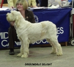 Filename=D-Delight.jpg
Filesize=81KiB
Dimensions=600x540
Date added=Sep 14, 2011 D-Delight.jpg