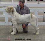 Filename=H-KirRoyale.jpg
Filesize=73KiB
Dimensions=600x542
Date added=Sep 14, 2011 H-KirRoyale.jpg