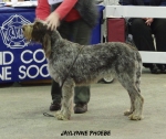 Filename=J-Phoebe.jpg
Filesize=81KiB
Dimensions=600x505
Date added=Sep 14, 2011 J-Phoebe.jpg