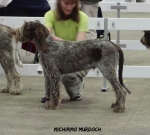 Filename=M-Murdoch.jpg
Filesize=75KiB
Dimensions=600x541
Date added=Sep 14, 2011 M-Murdoch.jpg