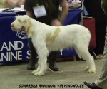 Filename=S-Annigoni.jpg
Filesize=73KiB
Dimensions=600x500
Date added=Sep 14, 2011 S-Annigoni.jpg