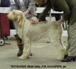Filename=T-MaudEarl.jpg
Filesize=80KiB
Dimensions=600x548
Date added=Sep 14, 2011 T-MaudEarl.jpg