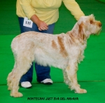 Filename=M-JustEva.jpg
Filesize=104KiB
Dimensions=700x684
Date added=Sep 14, 2011 M-JustEva.jpg