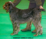 Filename=Sharpshot-Samira.jpg
Filesize=107KiB
Dimensions=700x593
Date added=Sep 14, 2011 Sharpshot-Samira.jpg