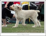 Filename=A-Amelia-4.jpg
Filesize=116KiB
Dimensions=868x698
Date added=Aug 18, 2010 A-Amelia-4.jpg