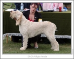 Filename=A-Amelia.jpg
Filesize=132KiB
Dimensions=868x698
Date added=Aug 18, 2010 A-Amelia.jpg