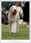 Filename=B-AlFresco-2.jpg
Filesize=127KiB
Dimensions=668x907
Date added=Aug 18, 2010 B-AlFresco-2.jpg