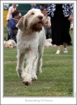 Filename=B-AlFresco-3.jpg
Filesize=137KiB
Dimensions=668x907
Date added=Aug 18, 2010 B-AlFresco-3.jpg