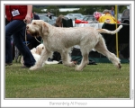 Filename=B-AlFresco-4.jpg
Filesize=140KiB
Dimensions=868x698
Date added=Aug 18, 2010 B-AlFresco-4.jpg