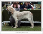 Filename=B-BillyElliot.jpg
Filesize=141KiB
Dimensions=868x698
Date added=Aug 18, 2010 B-BillyElliot.jpg