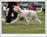Filename=B-BruceAlmighty-3.jpg
Filesize=149KiB
Dimensions=868x698
Date added=Aug 18, 2010 B-BruceAlmighty-3.jpg