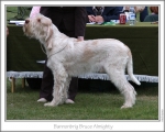 Filename=B-BruceAlmighty.jpg
Filesize=127KiB
Dimensions=868x698
Date added=Aug 18, 2010 B-BruceAlmighty.jpg