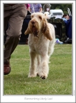 Filename=B-LikelyLad-3.jpg
Filesize=149KiB
Dimensions=668x907
Date added=Aug 18, 2010 B-LikelyLad-3.jpg