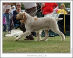 Filename=B-LikelyLad-4.jpg
Filesize=148KiB
Dimensions=868x698
Date added=Aug 18, 2010 B-LikelyLad-4.jpg